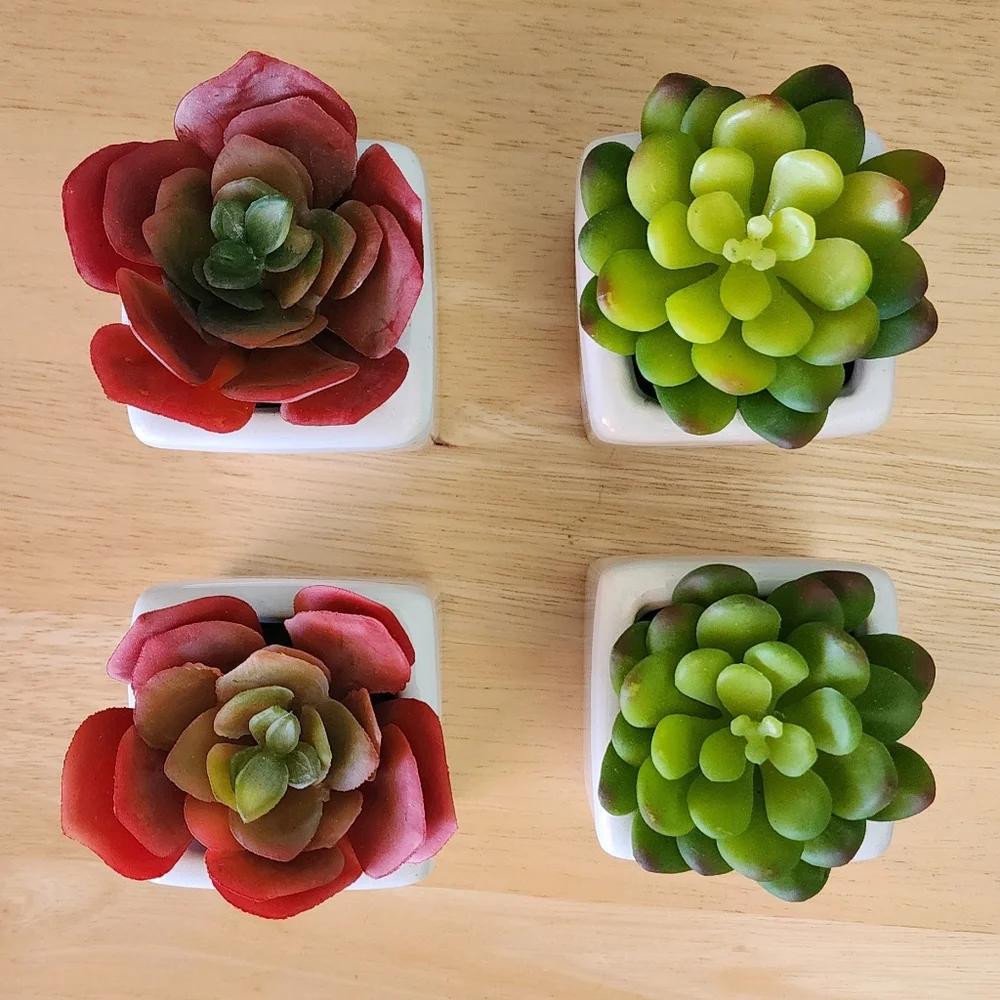 Set of 4 Succulent Artifical Planters in White Ceramic Pots